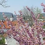 Am Rosenfelspark 아파트 로라흐