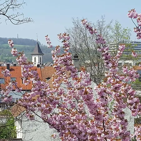 Am Rosenfelspark Daire Lörrach