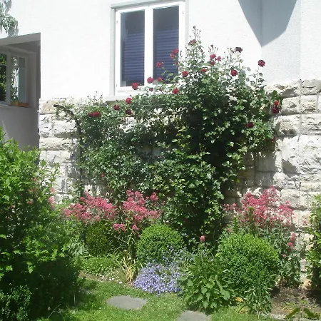 Am Rosenfelspark